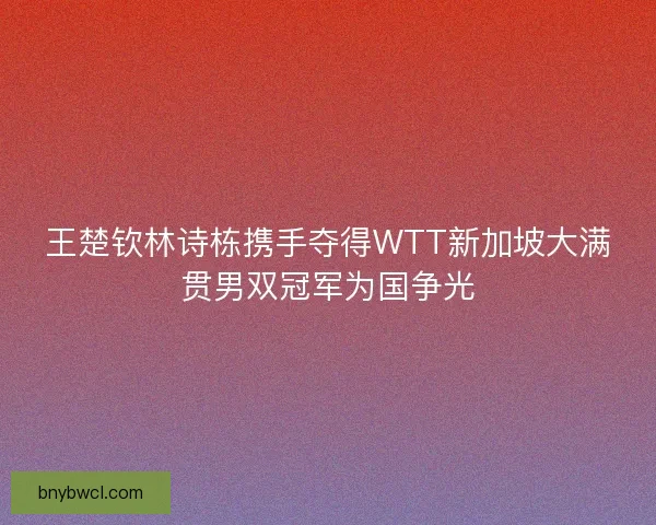 王楚钦林诗栋携手夺得WTT新加坡大满贯男双冠军为国争光