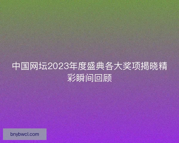中国网坛2023年度盛典各大奖项揭晓精彩瞬间回顾